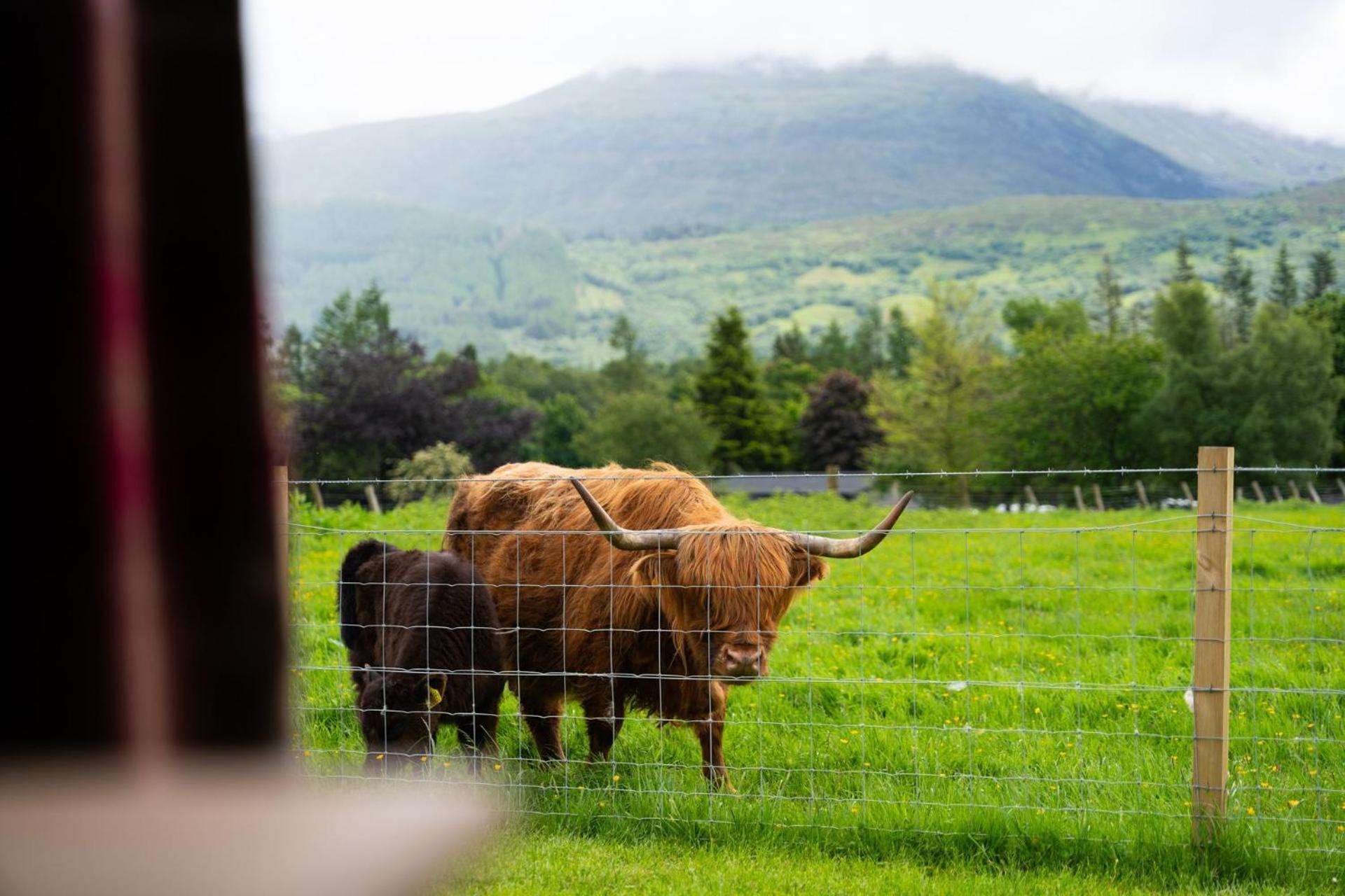 Villa Ben Nevis Pod Fort William Esterno foto